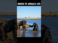 5 Million Years Ago | The Moment Humanity Was Born #humanevolution #evolution #life
