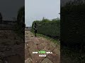 Satisfying Gardening Work🌳#garden #satisfying #cleaning #grass #lawn #viral #fyp #trending #637
