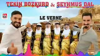 Şeyhmus dal & Tekin Bozkurd Le werne Resimi