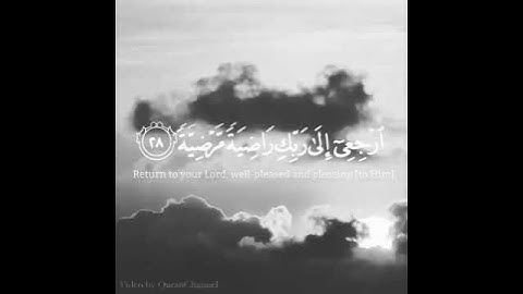 القارئ  #محمد النقيب  يا أيتها النفس المطمئنة   ارجعى إلى ربك راضية مرضية   فادخلي في عبادي   وادخلي