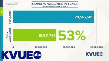 COVID-19 in Austin: Health officials provide Nov. 5 update | KVUE