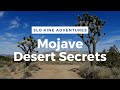 Mojave Desert Secrets: the Mojave Mailbox and Mine Camps