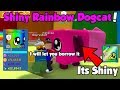 He Traded Me Shiny Rainbow Dogcat! OP STATS! Best Shiny Rainbow Pet - Bubble Gum Simulator