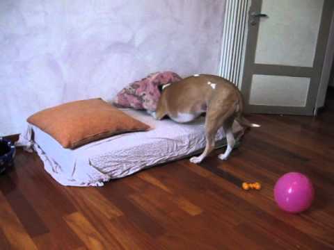 when the temperature drops.wmv