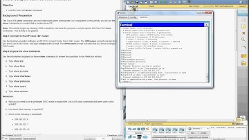 Using the Cisco IOS Show Commands