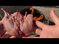 【ベランダ七輪】ついにキョン肉を見つけた