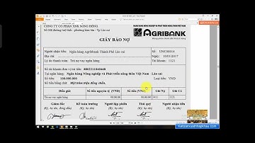 ở nhà vẫn vui- bài 9 lập bctc công ty xuất nhập khẩu trên excel