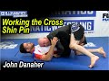 Working the cross shin pin by john danaher