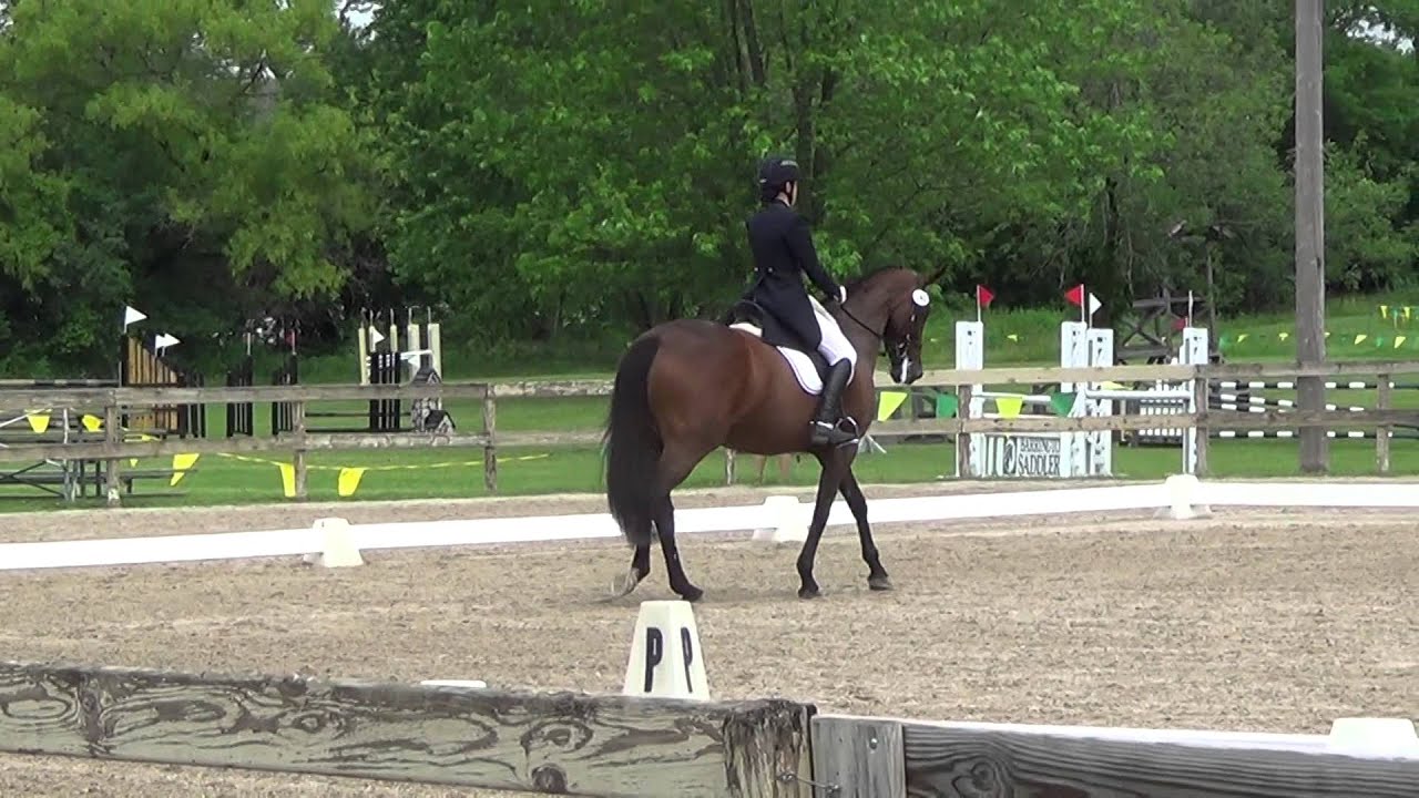 Kristine and BFF Tiara Dressage FRV 2014 - YouTube