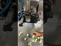 Mawa peda making machine | punjab engineering Indore 8962826650
