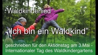 Internationaler Tag des Waldkindergartens - Waldkinderlied 