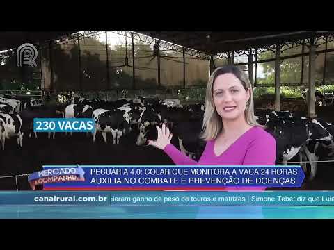 Sistema de barração de compostagem aumenta capacidade produtiva e reprodutiva de vacas | Canal Rural