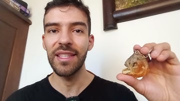 ¿Qué es un mapa? 🗺️