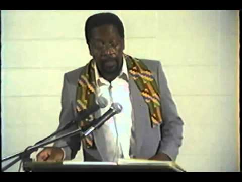The Falsification of Afrikan Consciousness by Amos N. Wilson The Falsification of Afrikan Consciousness by Amos N. Wilson