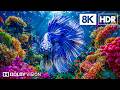 Masterpiece Underwater Creatures in 8K HDR | Dolby Vision™