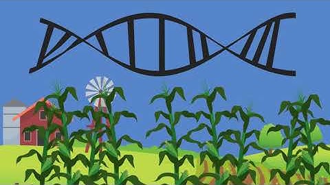 Tracing a species’ history through its genes