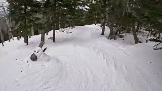 Skiing Summit glades at Mount Sunapee