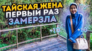 видео: Другой Таиланд: тайская жена замерзла первый раз в жизни картинка: Другой Таиланд: тайская жена замерзла первый раз в жизни