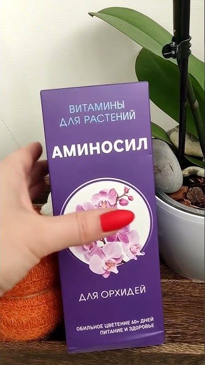 витамины для орхидей осенью ‼️ - YouTube