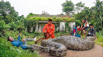 Wild Life Amazon Jungle | Clean Up Abandoned House To Search For a 500kg GIANT PYTHON