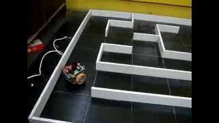 Our First Micro Mouse