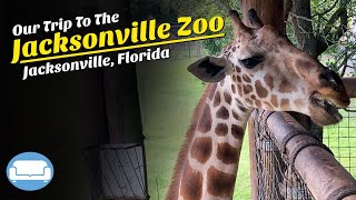 Tour of Jacksonville Zoo and Gardens| Total Experience Ticket| Jacksonville, Florida