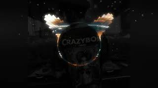 Kygo, Zara Larsson \& Tyga - Like It Is (Crazyboii Moombah Chill Remix) 2024