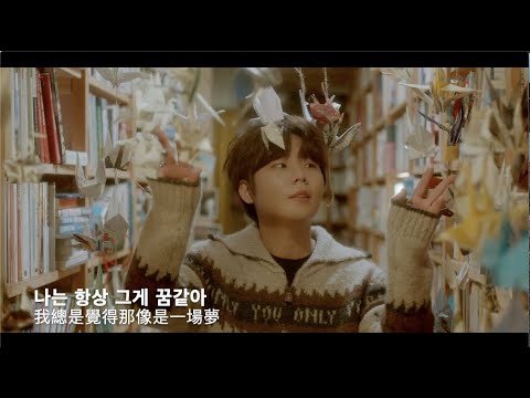 [MV 韓繁中字] 鄭承煥 (정승환 Jung Seung Hwan) - 어김없이 이 거리에 (Winter Again) lyrics/가사/歌詞