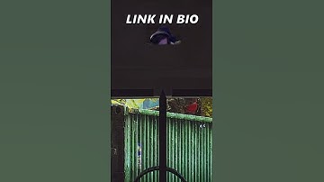 Taking feet #shorts #escapefromtarkov #tarkov #eft #gaming #stankrat