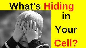 How to Show and Hide Groups Within a Repeating Group in Your Bubble.io No Code Web app