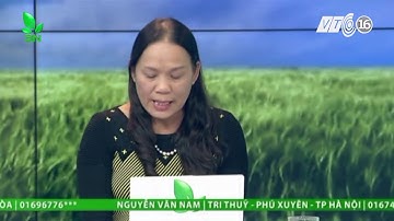 Nước ao chuyển sang màu đỏ  Nguyên nhân và biện pháp