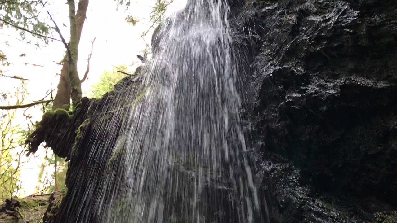 City Sailing Scotlands Gems - Pucks Glen -