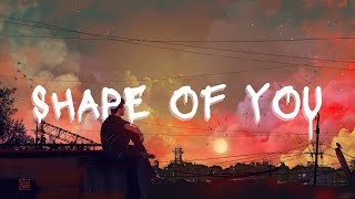 Shape of You - Ed Sheeran (Vietsub/Lyrics)