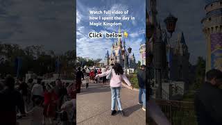 A Day In Magic Kingdom Park.