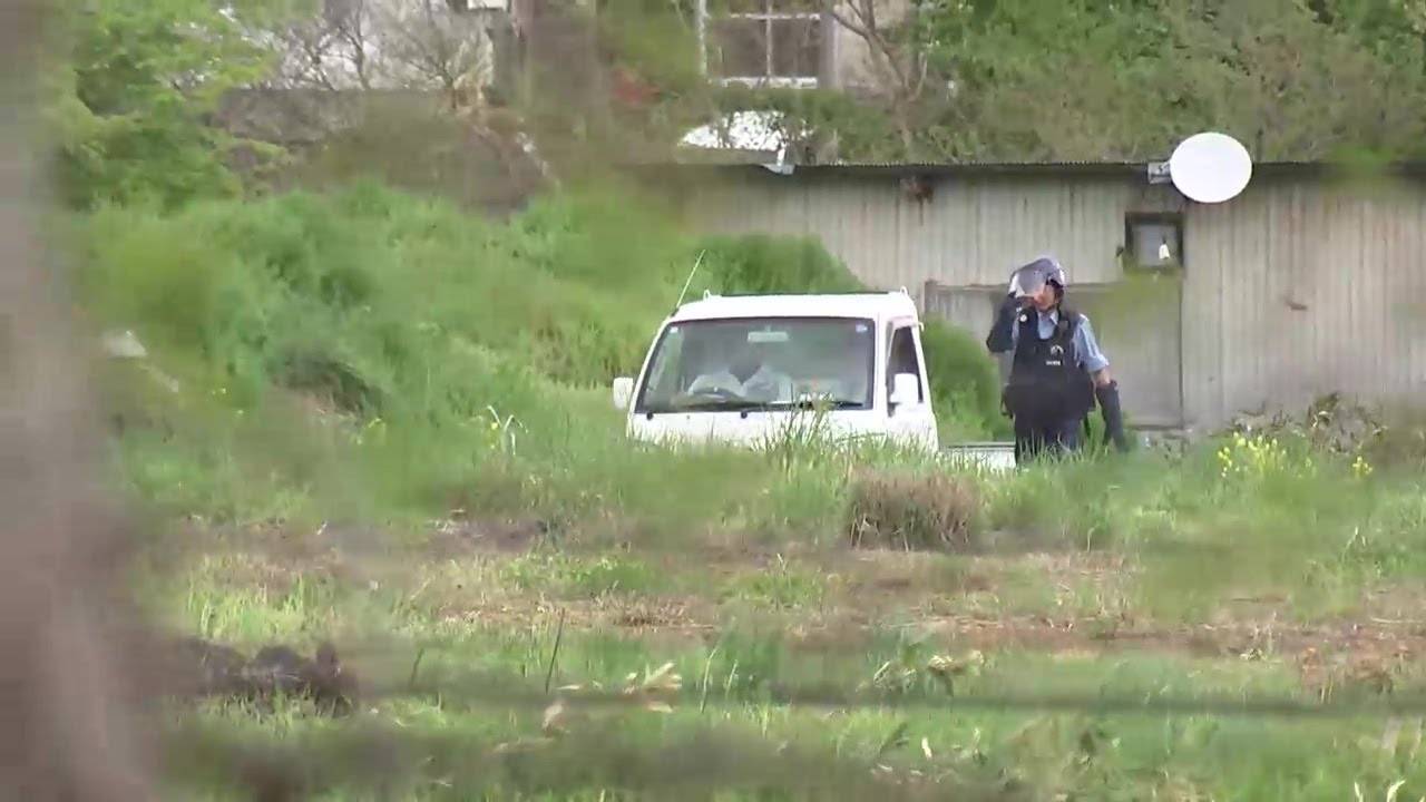 Bears raid chicken feed and enter residential properties; repeated
