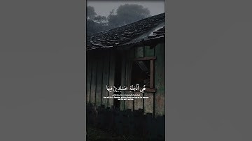 سورة هود القارئ محمد المحيسني | قالب كاب كات قرآن كريم |quran capcut template