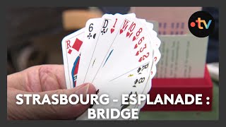 One place, many stories in Strasbourg - Esplanade: bridge - Episode 4/4