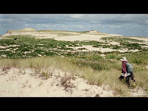 Geographies of Solitude | Trailer | Berlinale 2022