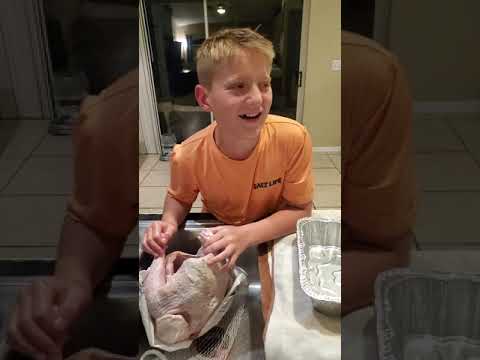 Male Turkey so my son thinks LOL