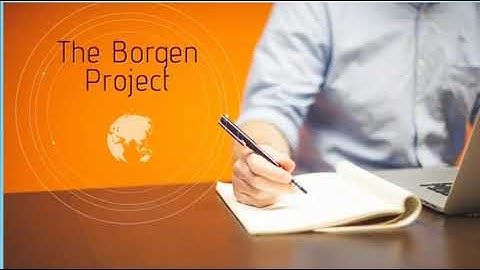 Excel 9. Module 4. The Borgen Project
