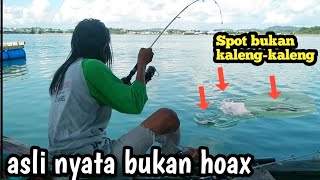 Terbukti sudah || sarang ikan di belakang rumah | siap makan besar