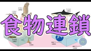 中学３年 理科 食物連鎖 現役教師による授業動画 Youtube