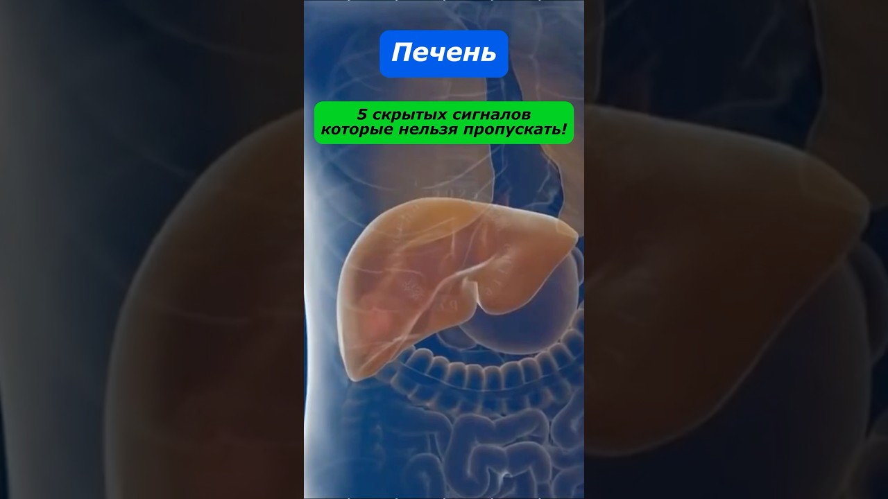 5 скрытых признаков, что вашей печени нужна помощь! #здоровье #медицина #печень #зож #пищеварение