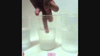 Famous Module 3 / Activity 1: Explaining hotness and coldness Wealth