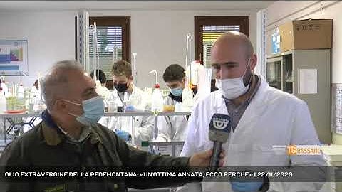 OLIO EXTRAVERGINE DELLA PEDEMONTANA: «UN'OTTIMA ANNATA, ECCO PERCHE'» | 22/11/2020