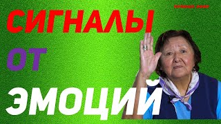 Сигналы от эмоций