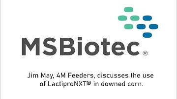 Use of Lactipro® in Downed Corn