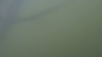 Người duy nhất ở Việt Nam làm nghề nhặt rác thải nhựa dưới sông là Tiun