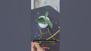 How to made flower pot hanging knot #shorts #knottutorial #diy #knotskills