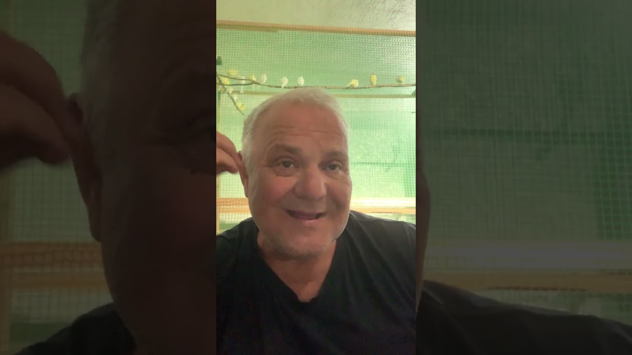 20 мая 2025 г.О обучении песне канареек